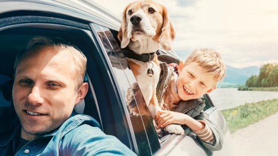 Hunden med på semester
